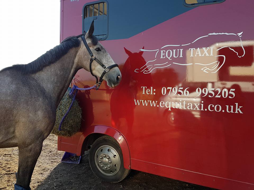 Equi Taxi Equine Transportation